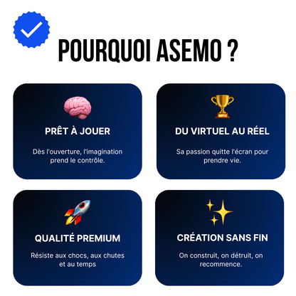 Blocs magnétiques Asemo